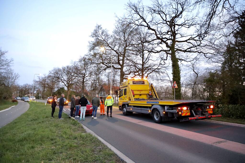 Kopstaart botsing door overstekend eendje