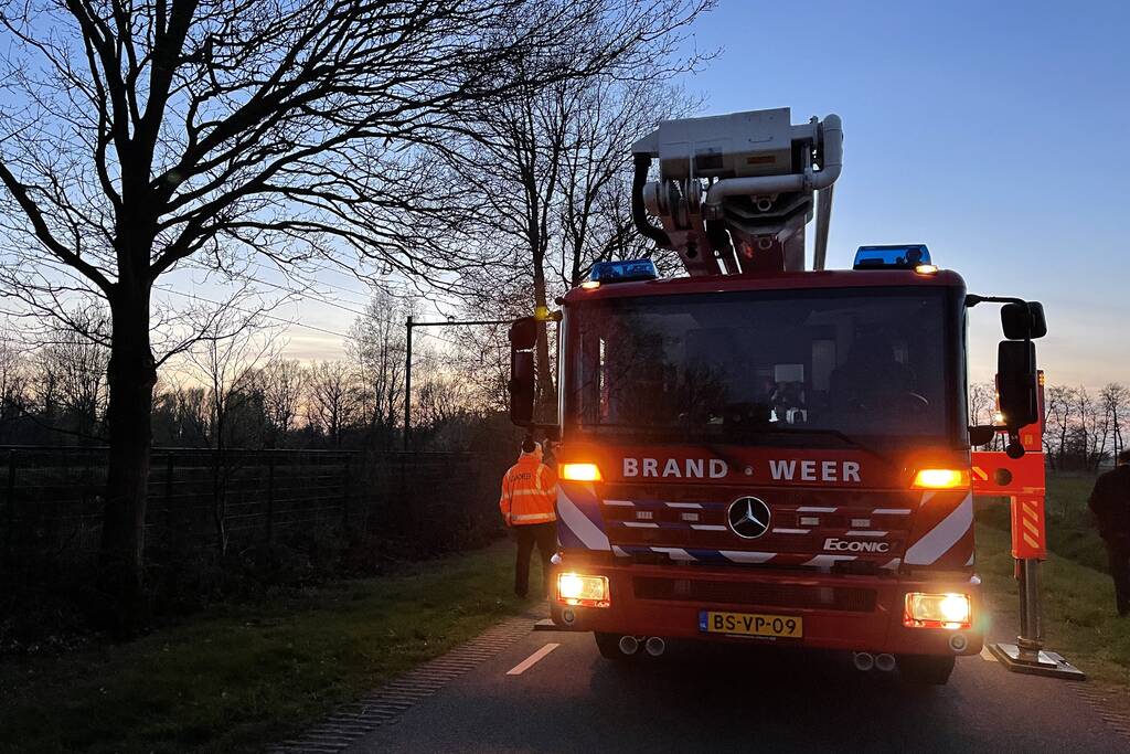 Brandweer haalt vastzittend modelvliegtuig uit boom