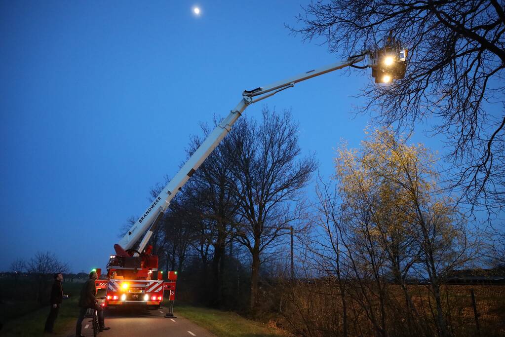 Brandweer haalt vastzittend modelvliegtuig uit boom