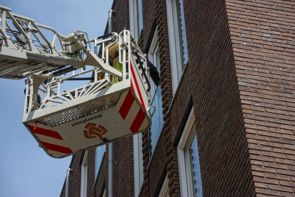 Duiven vast achter glasplaat