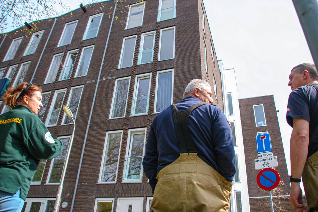 Duiven vast achter glasplaat