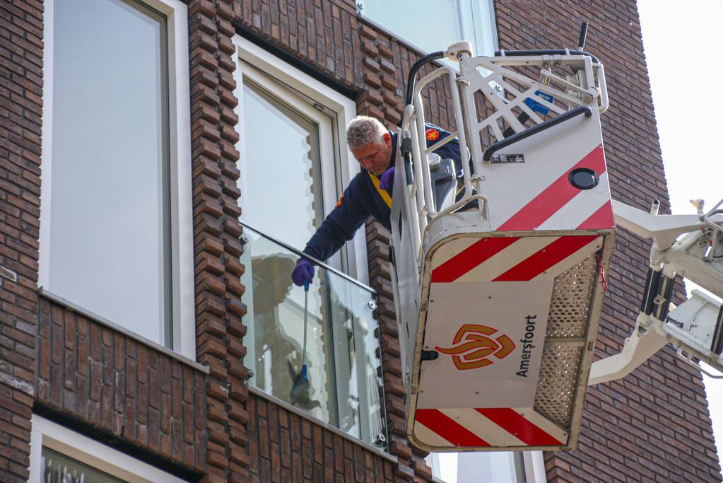 Duiven vast achter glasplaat