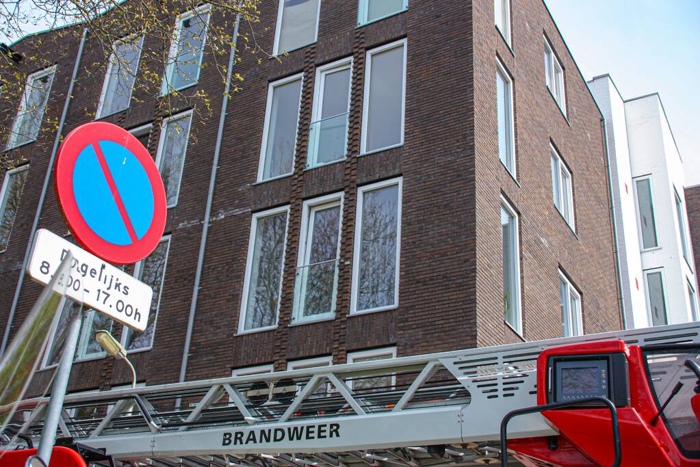 Duiven vast achter glasplaat