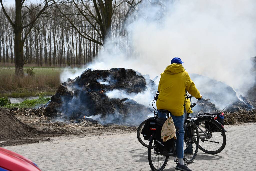 Grote rookwolken door brand in berg riet