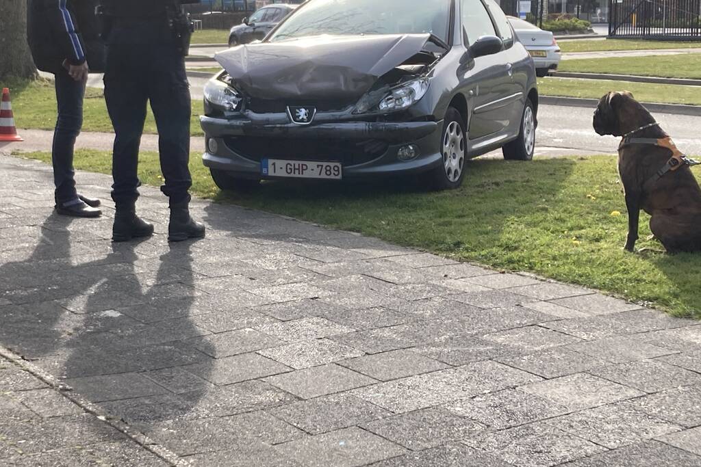 Kind nagekeken na kop-staart botsing