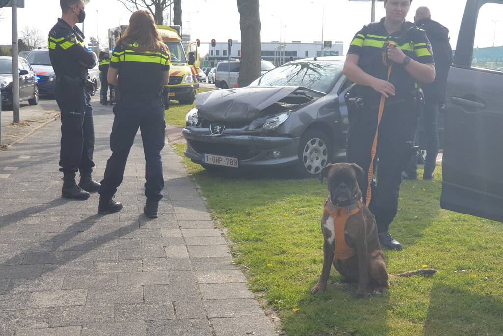 Kind nagekeken na kop-staart botsing