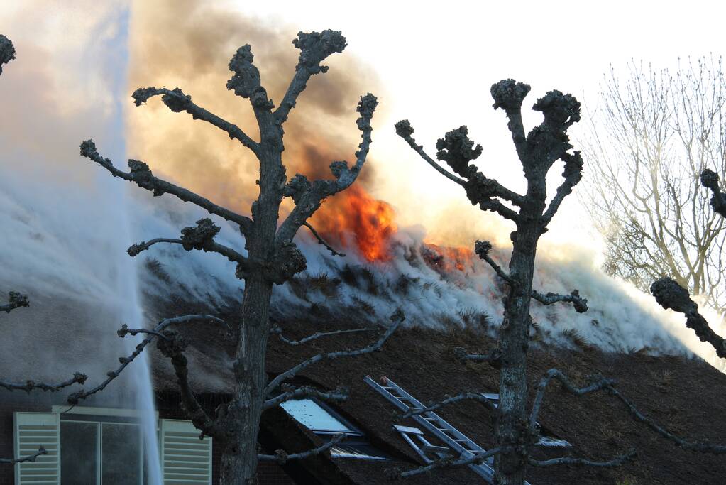 Veel rookontwikkeling door brand in rietendak van woonboederij
