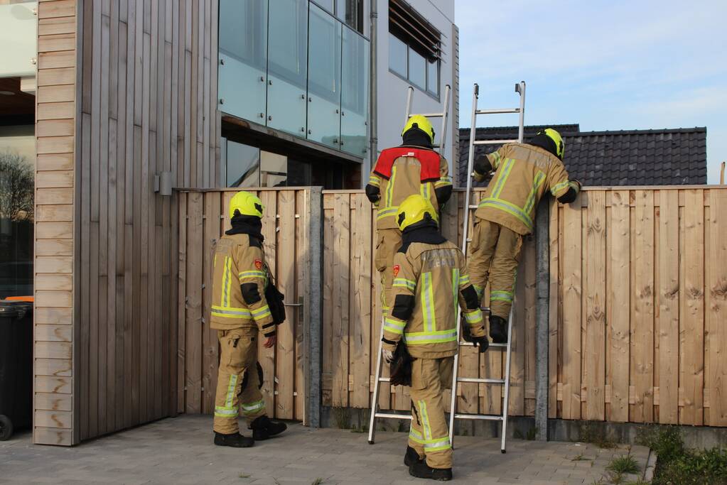 Brandweer bevrijdt duif tussen raam en glasplaat