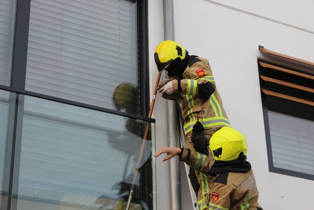 Brandweer bevrijdt duif tussen raam en glasplaat
