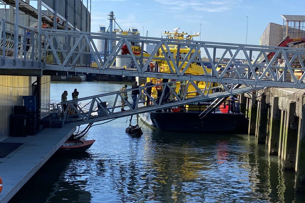 Koe belandt in water Floating Farm