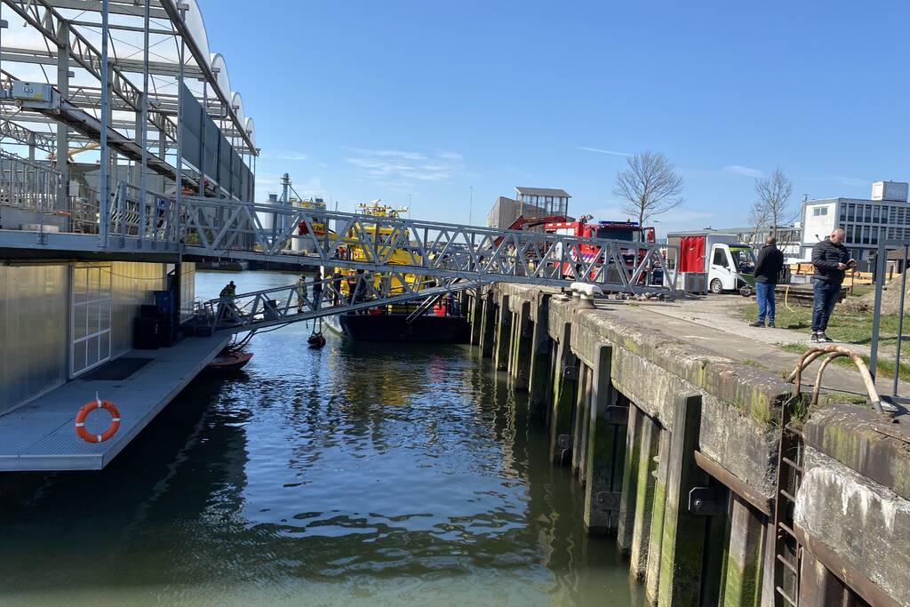 Koe belandt in water Floating Farm