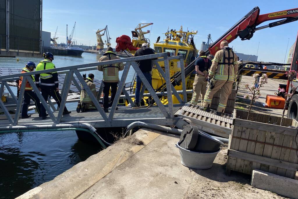 Koe belandt in water Floating Farm