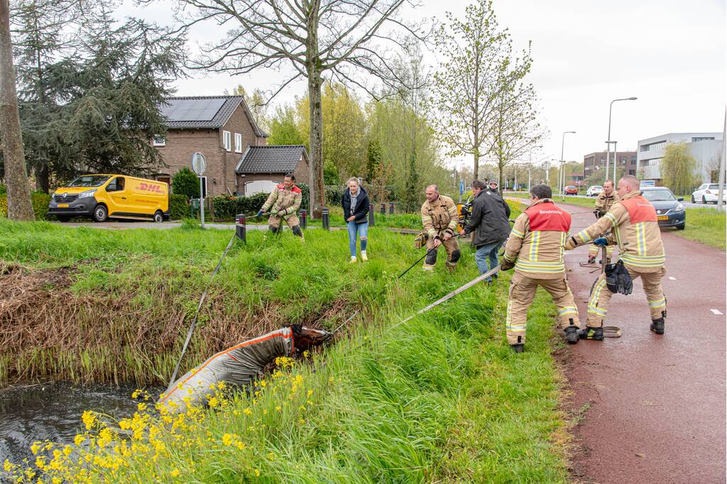 Brandweer en omstanders halen paard uit sloot