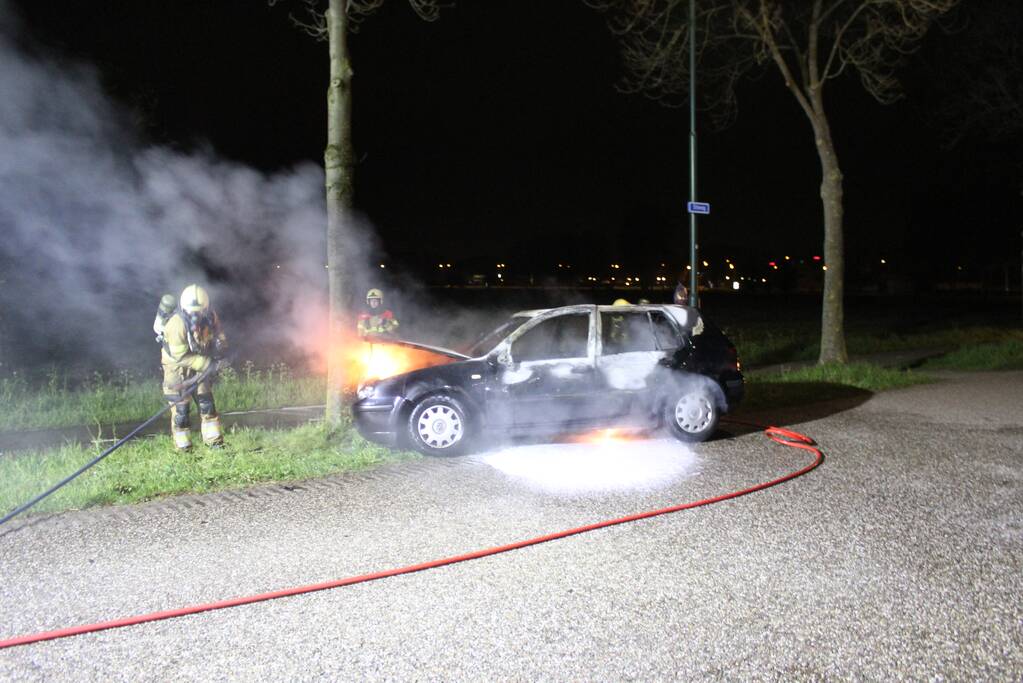 Auto verwoest door brand na botsing tegen boom