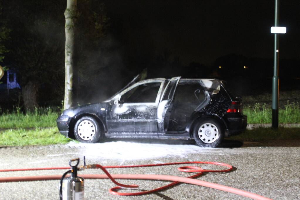 Auto verwoest door brand na botsing tegen boom