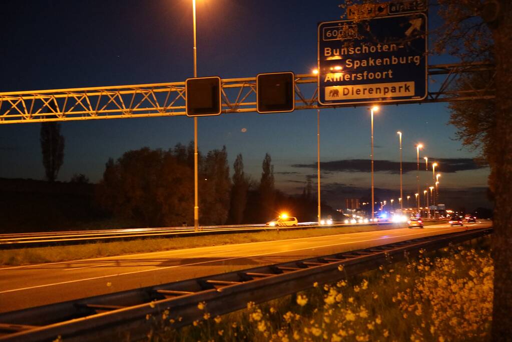 Tesla botst op vangrail