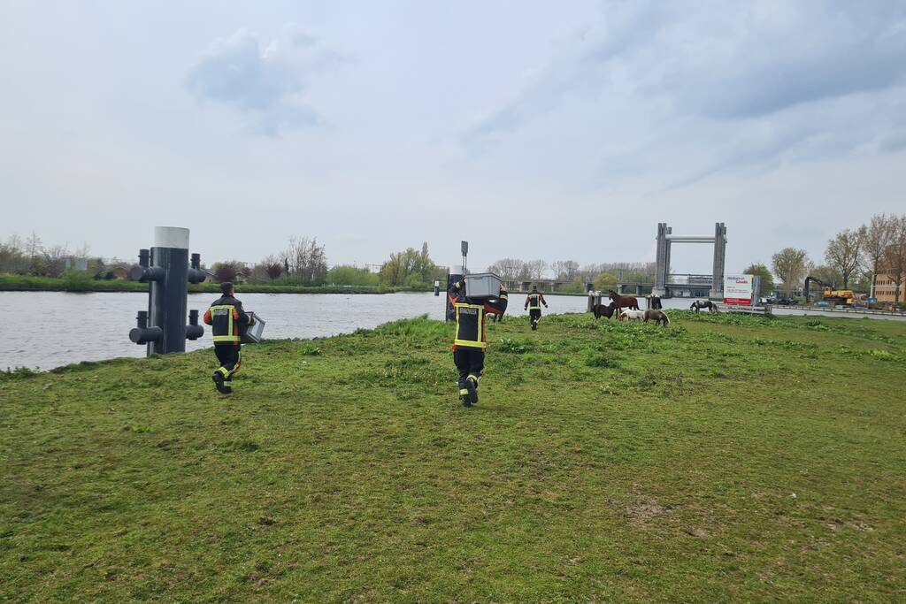 Brandweer heeft handen vol door reddingsactie