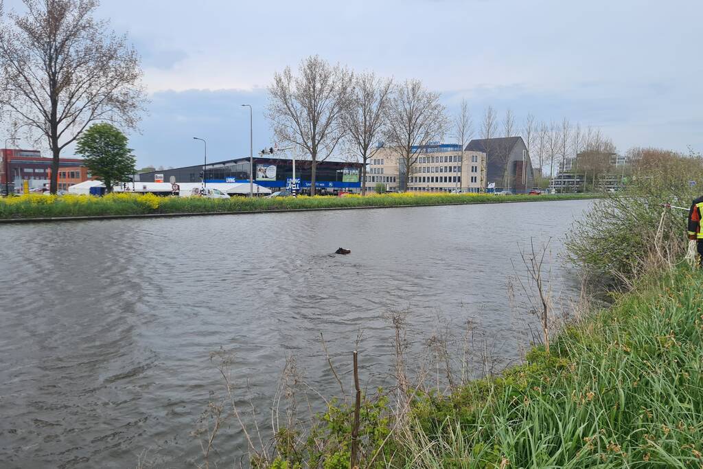 Brandweer heeft handen vol door reddingsactie