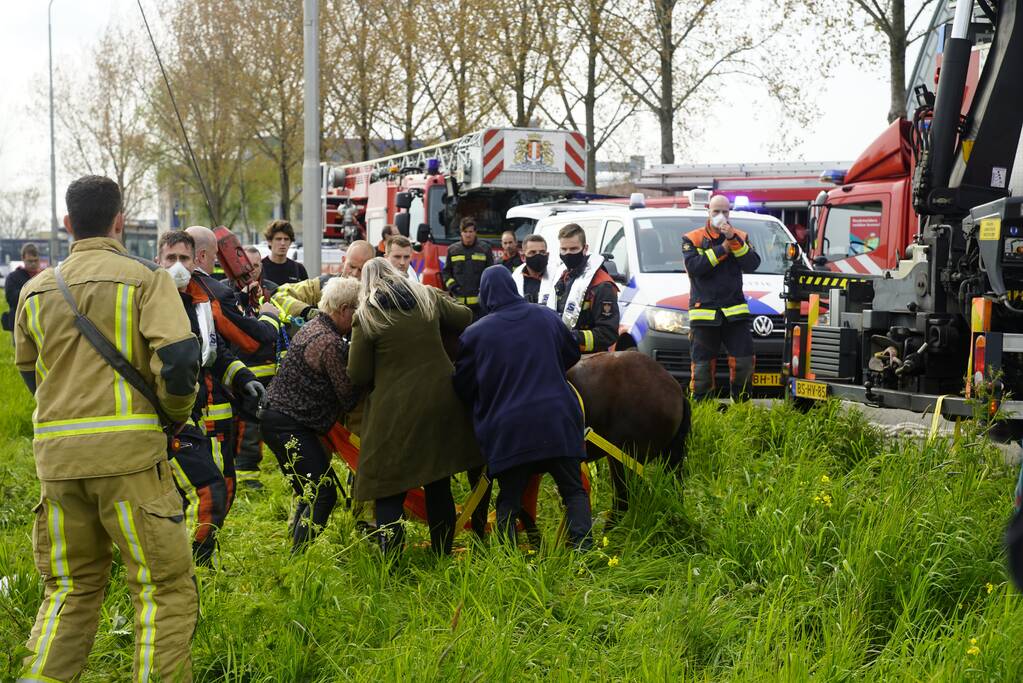 Brandweer heeft handen vol door reddingsactie