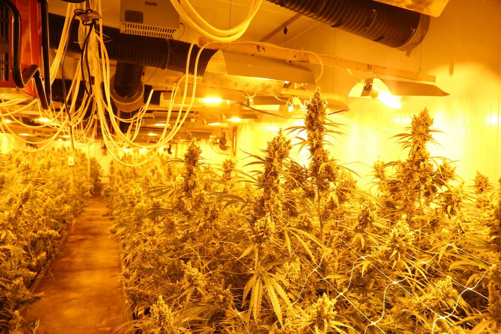 Burgemeester sluit drugspand