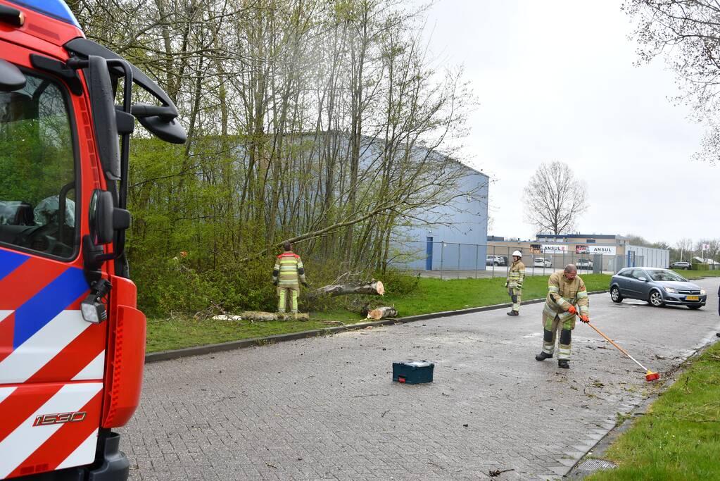 Grote boom omgewaaid op rijbaan