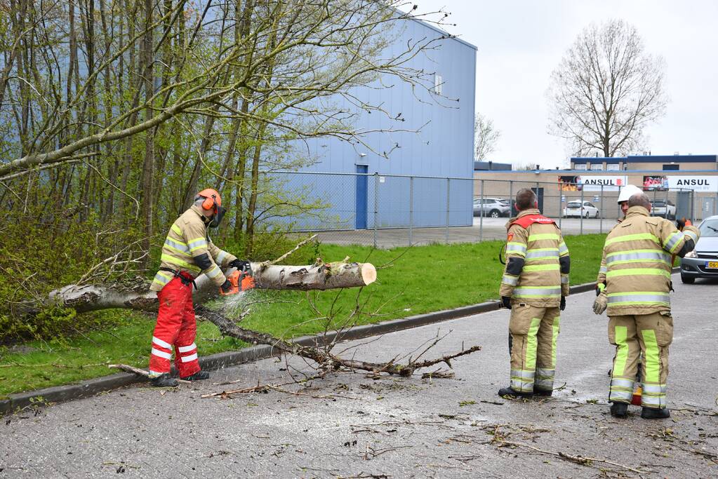 Grote boom omgewaaid op rijbaan
