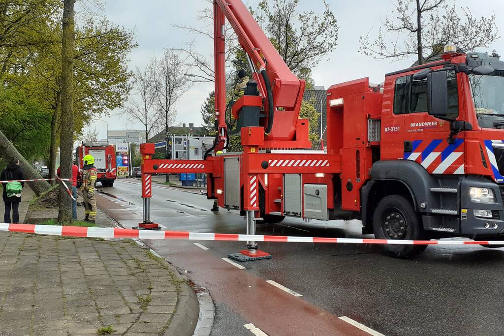 Omgeving afgezet voor gevaarlijk hangende boom