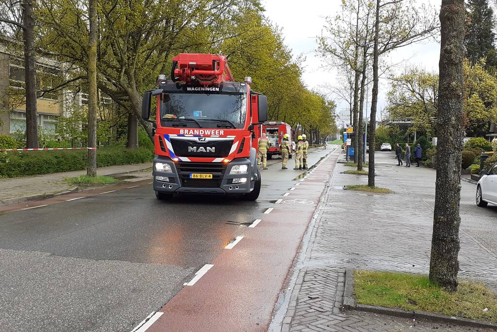 Omgeving afgezet voor gevaarlijk hangende boom