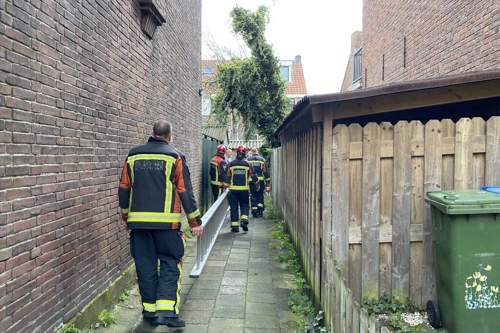 Boom omgewaaid in tuin