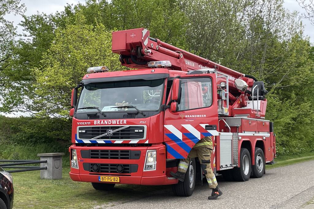 Hond vast boven in boom