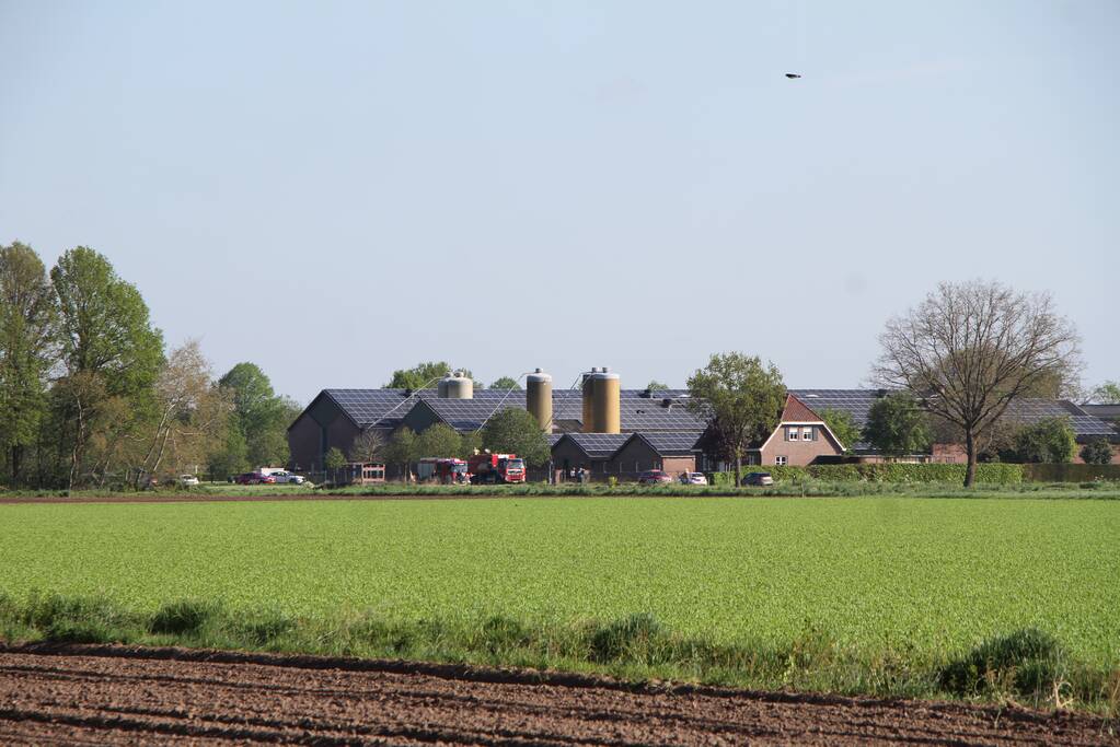 Grote brand in stal met kippen