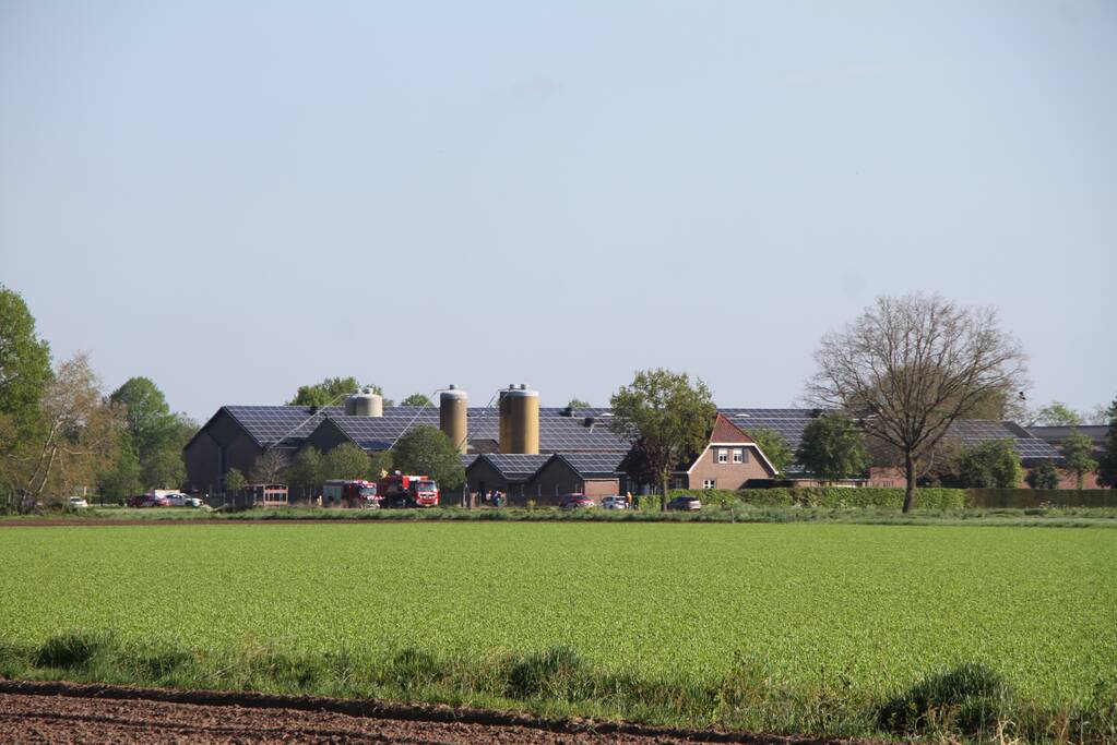 Grote brand in stal met kippen