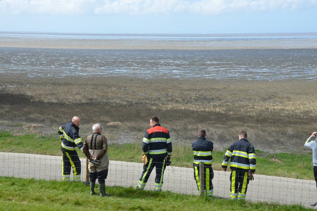 Reddingsactie voor ree in de problemen bij De Zwarte Haan