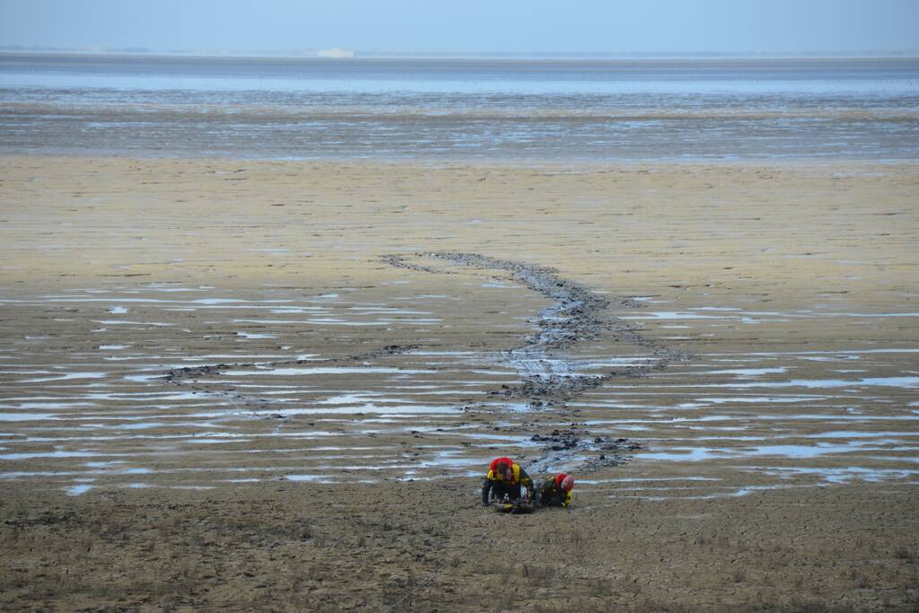 Reddingsactie voor ree in de problemen bij De Zwarte Haan