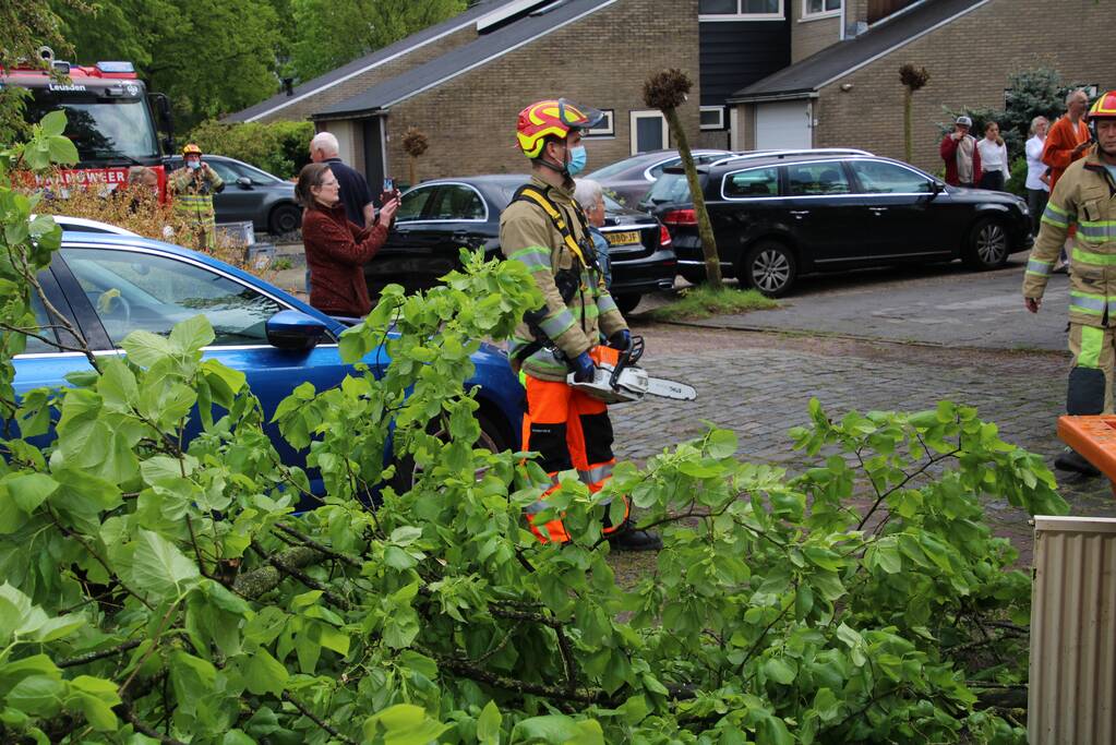 Brandweer zaagt boom in stukken