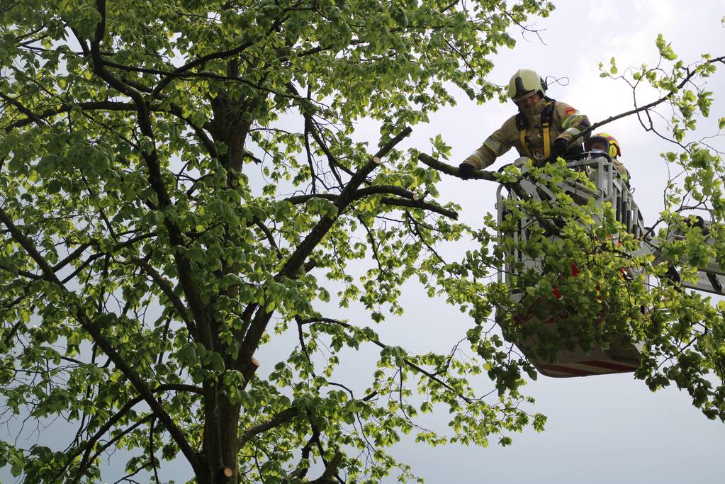Brandweer zaagt boom in stukken