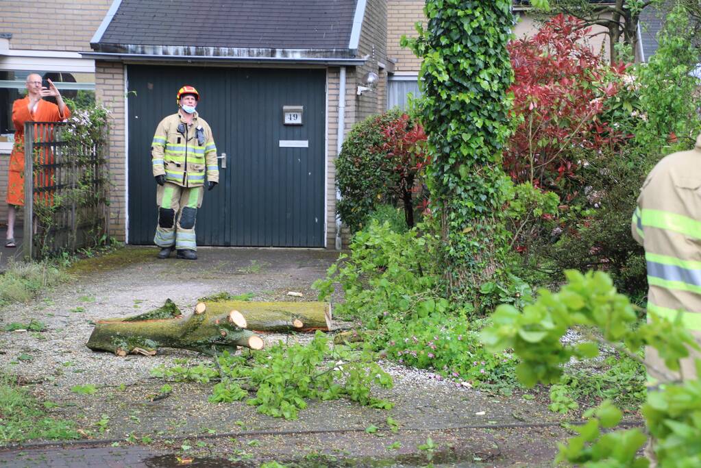 Brandweer zaagt boom in stukken