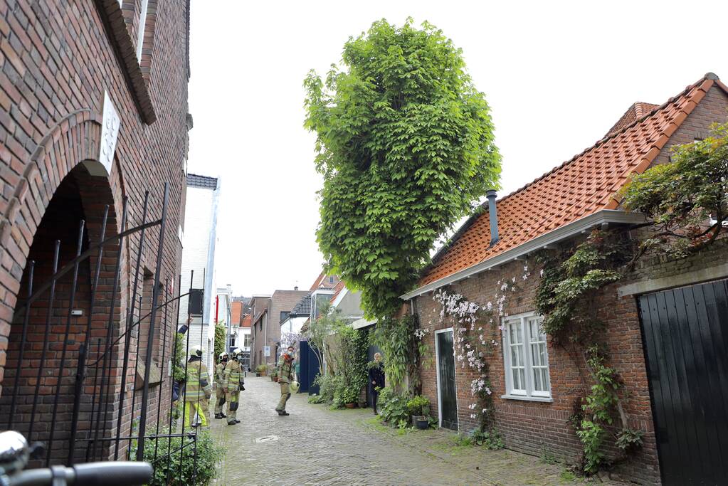 Brandweer ingezet voor kat in de boom