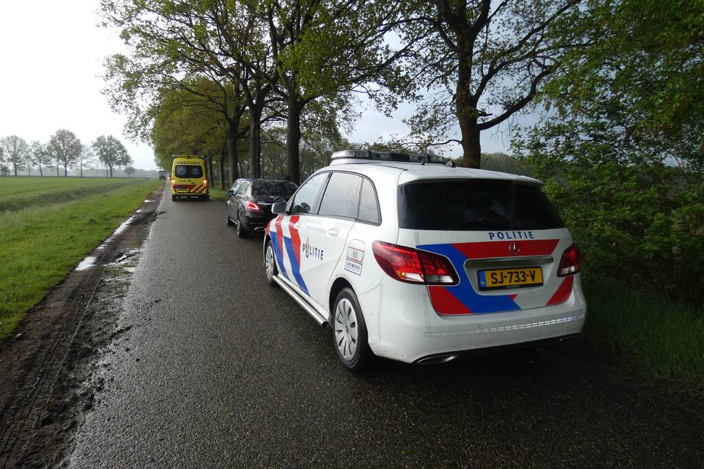 Auto tegen boom tot stilstand