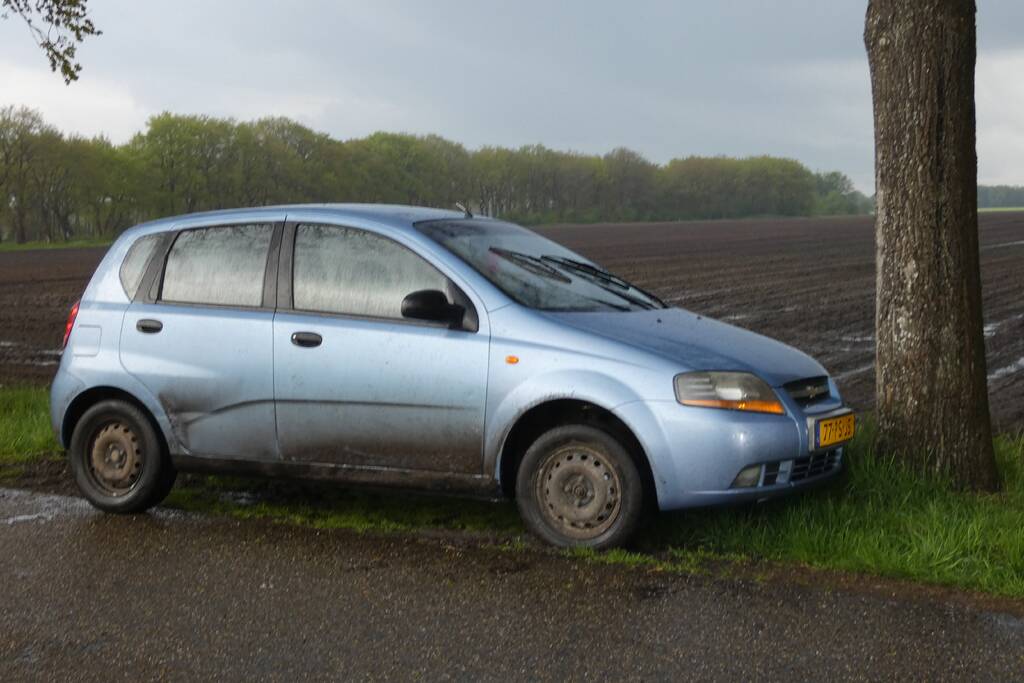 Auto tegen boom tot stilstand