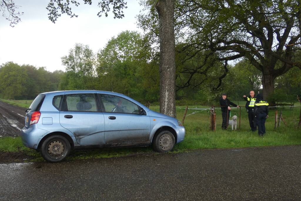 Auto tegen boom tot stilstand