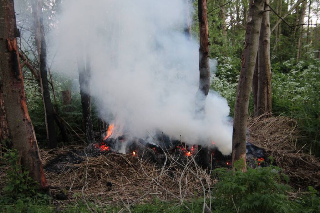 Brandweer blust brandend riet