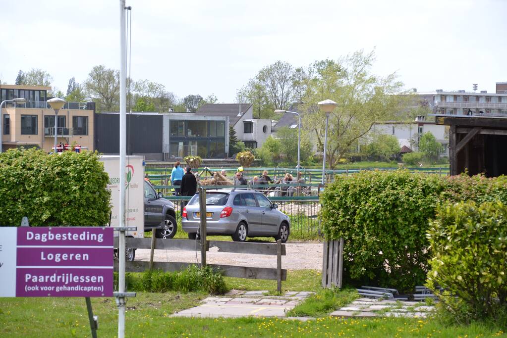 Brandweer bevrijdt paard Zorgmanege Grenzeloos