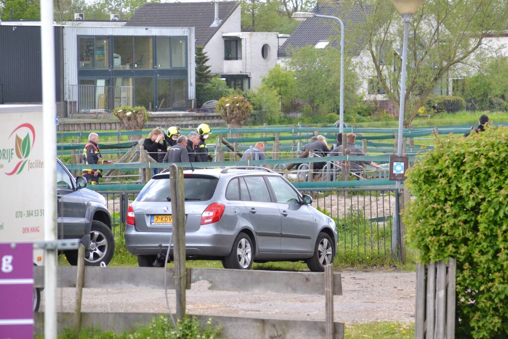 Brandweer bevrijdt paard Zorgmanege Grenzeloos
