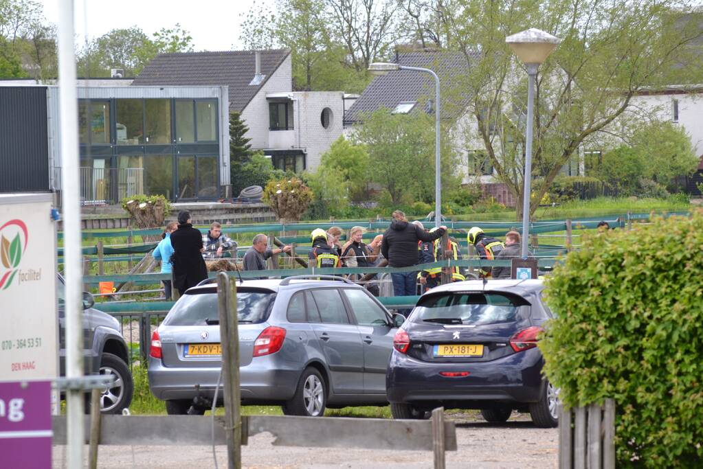 Brandweer bevrijdt paard Zorgmanege Grenzeloos