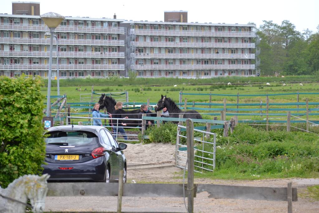Brandweer bevrijdt paard Zorgmanege Grenzeloos