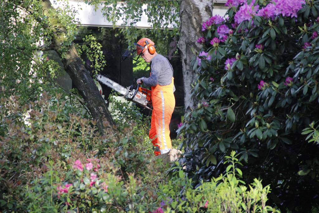 Boom waait om tegen woning