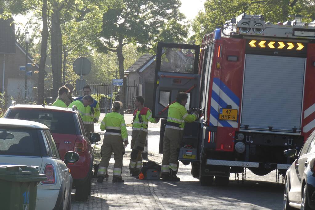 Boom waait om op de weg