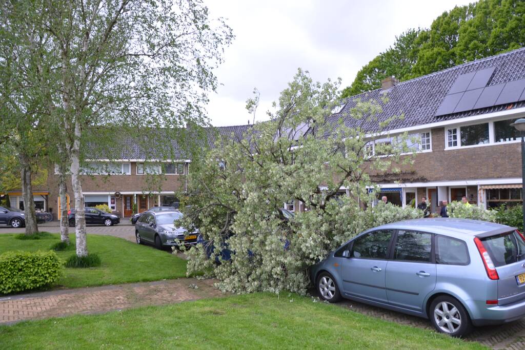 Boom waait om en valt op een auto