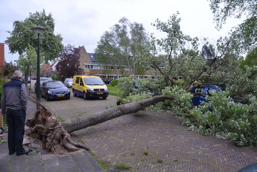Boom waait om en valt op een auto